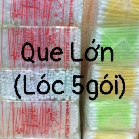Cây rái rẽ lớn 