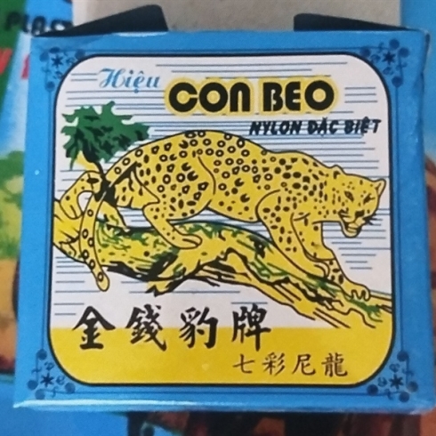 Tứ beo,tyt 